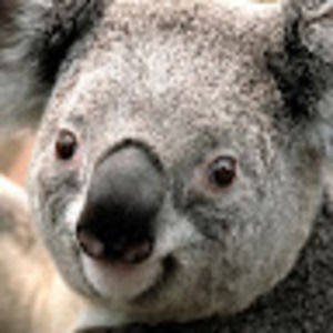 Meet your Posher, Tanya